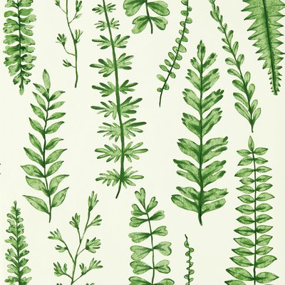 Ferns Wallpaper SCION