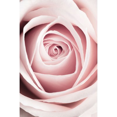 Tableau coeur de roses HEXOA