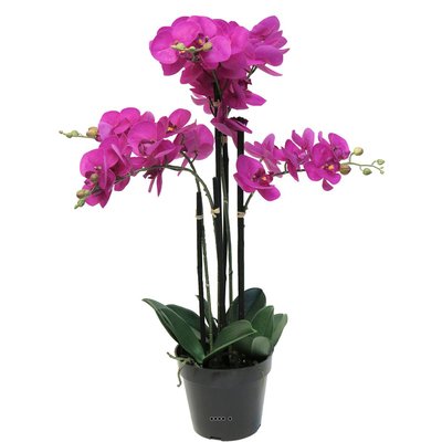 Orchidée Phalaenopsis factice Top Qualité ARTIFICIELLES