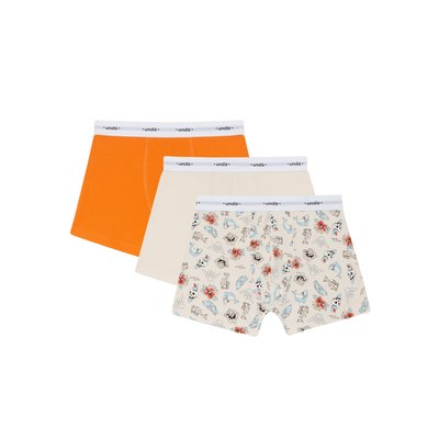Lot de 3 boxers junior en coton TEENWAVIZ UNDIZ