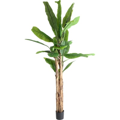 Plante décorative bananier, Pliable RECOLLECTION