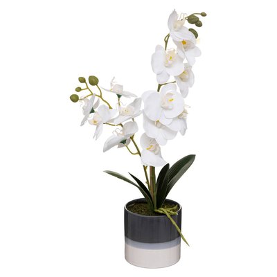 Orchidée artificielle ATMOSPHERA