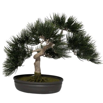 Bonsai artificiel Angel Pinus H 44 cm ARTIFICIELLES