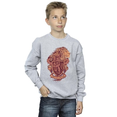 Sweat GRYFFINDOR HARRY POTTER