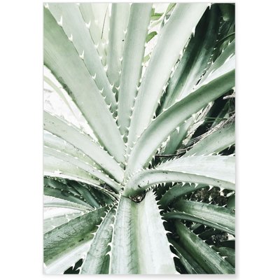Poster Nature Verte n°4 L'AFFICHERIE
