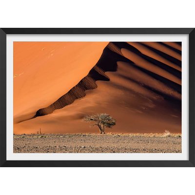 Affiche L'arbre sur la dune, Namibie HEXOA