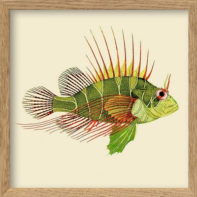 Petit cadre affiche poisson THE DYBDAHL CO