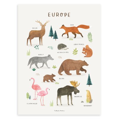 Affiche enfant animaux d'Europe LIVING EARTH LILIPINSO