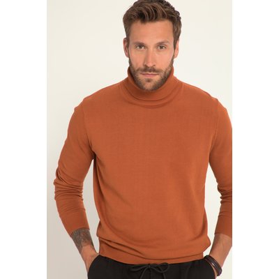 Pull à col roulé en maille fine JP1880