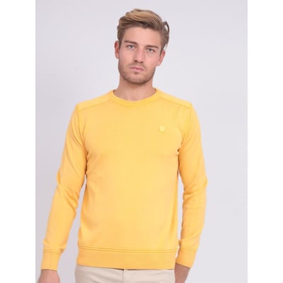 Pull Fin Col Rond Coton Arthur RITCHIE