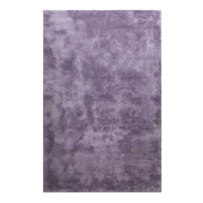 Tapis à poils longs doux pour salon ,  PISA HOMIE LIVING