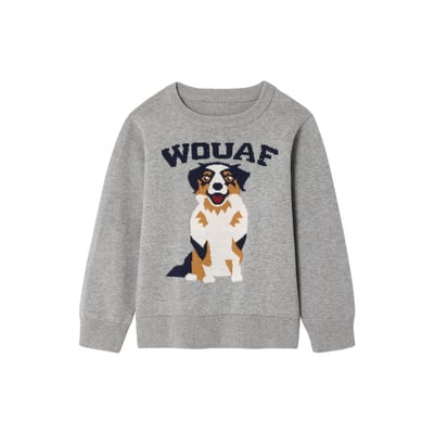 Pull Basique Col Rond Manches Longues Garçon - 100% Coton, Finitions Côtes, Coupe Classique Intemporelle