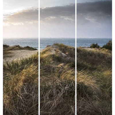 Triptyque Sur Toile Dune Vue Mer 90x97 Cm PLAGE CEANOTHE