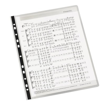 Lot de 10 pochettes perforées spéciales partitions pour classeur ADAGIO VIQUEL