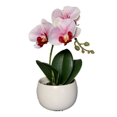 Adorable fausse orchidée coupe céramique H 16 ARTIFICIELLES