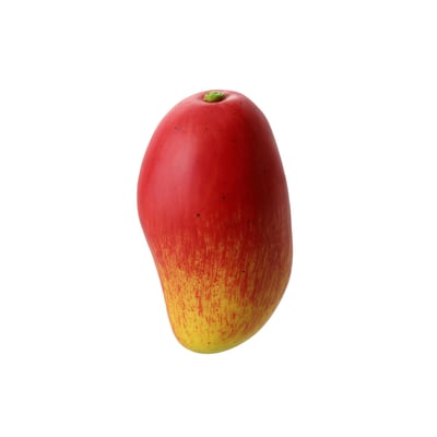 Mangue artificielle L14 SIA