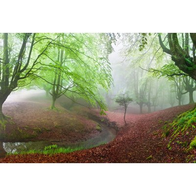 Tableau paysage de foret renaissance verte HEXOA