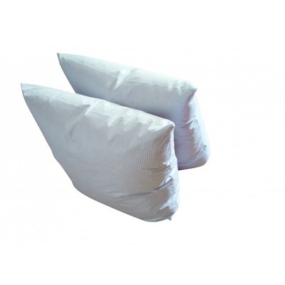 Lot de 2 oreillers plume RAYE BLEU MONTELEONE LE LINGE