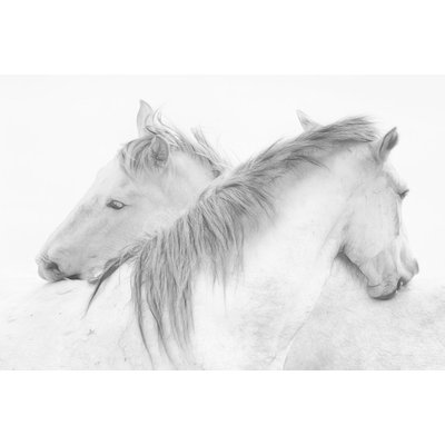 Tableau chevaux blancs HEXOA