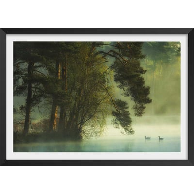 Affiche paysage marais neerlandais HEXOA