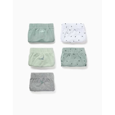 Lot de 5 slips en coton avec imprimés dinosaures ZIPPY