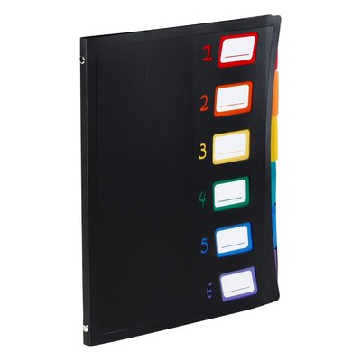 Trieur en plastique 6 compartiments - Format A4 - RAINBOW CLASS VIQUEL