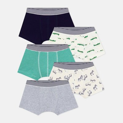 Pack of 5 Hipsters in Cotton PETIT BATEAU