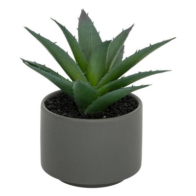 Plante grasse en pot ATMOSPHERA