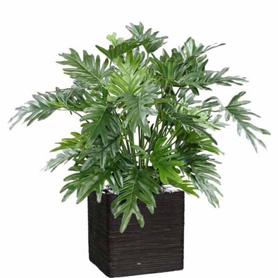 Philodendron Selloum artificiel en pot H75 cm ARTIFICIELLES