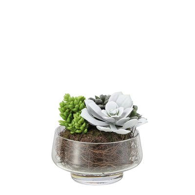 Mix de succulentes artificielles en vase H17 SIA DECO