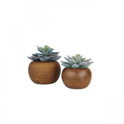 Succulente artificielle pot bois 15cm lot de 2 LIGNE DECO