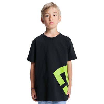T-Shirt à manches courtes LANAI. DC SHOES