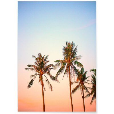 Poster Nature Tropicale 3 L'AFFICHERIE