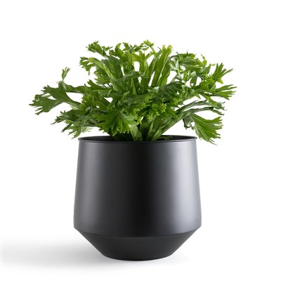 Anaïa 30cm Diameter Metal Flowerpot LA REDOUTE INTERIEURS