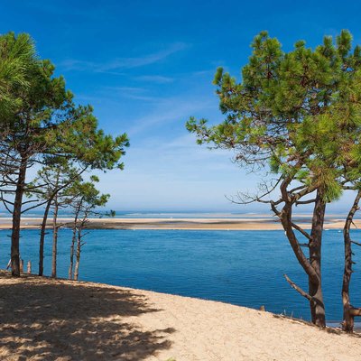 Tableau Mural Bassin Et Arbres PLAGE CEANOTHE