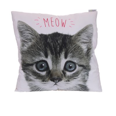 Coussin ou Oreiller Chaton 50 cm EDEN