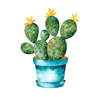 Tableau pot de cactus HEXOA