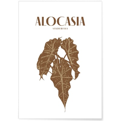 Affiche 'Alocasia' L'AFFICHERIE