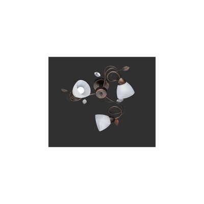 Plafonnier    TRADITIO BOUTICA-DESIGN