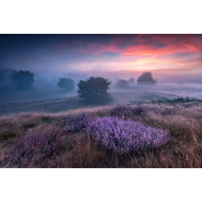 Tableau couleur chaude HEXOA