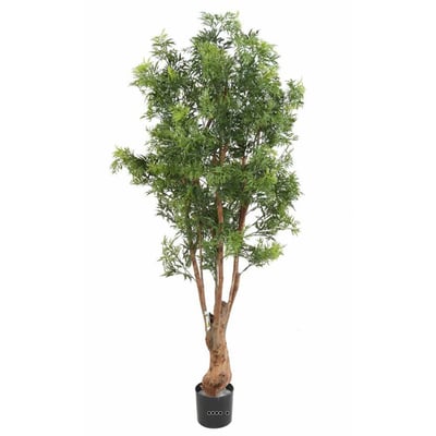 Aralia Arbre Artificiel H 165 cm D 80 cm ARTIFICIELLES