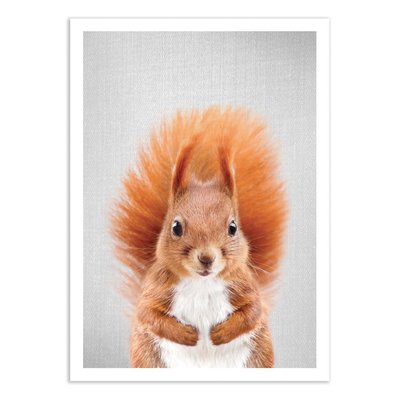 Affiche d’art 50 x 70 cm - Squirrel - Gal Design WALL EDITIONS