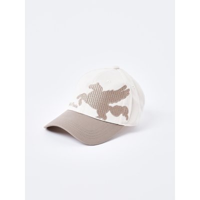 Casquette bicolore broderie texturé pégase PROJECT X