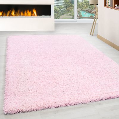 Tapis intérieur à poils longs OTTAWA NAZAR RUGS