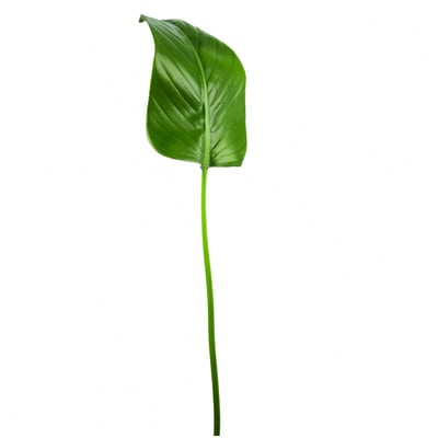 Feuille de strelitzia décorative artificielle H80 SIA