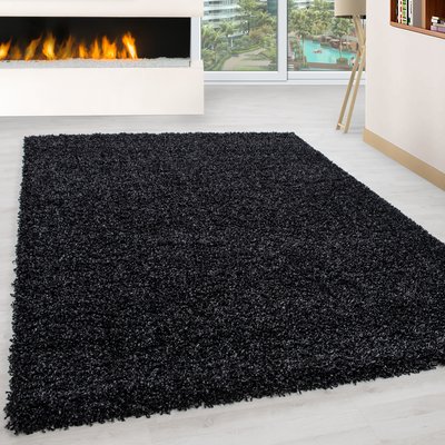 Tapis intérieur à poils longs OTTAWA NAZAR RUGS