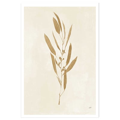 Affiche fleurs Recolte d'or Mina HEXOA