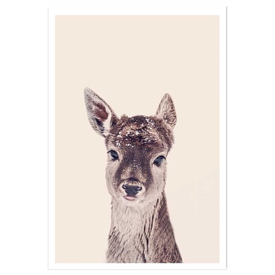 Affiche enfant biche enneigée HEXOA