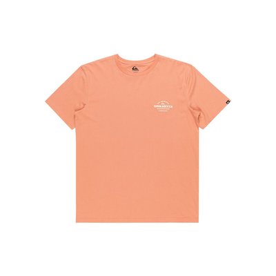 Small Logo Print T-Shirt with Short Sleeves QUIKSILVER
