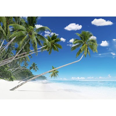 Tableau Mural Plage De Palmiers PLAGE CEANOTHE